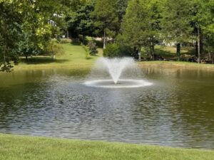 fountain